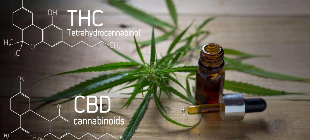 CBD Hanf, CBD Öl, CBD Oil, CBD, Cannabinoide, Cannabidiol, Weed, Gras, Joint, Tabakersatz, Hanf, CBD Shop, Cannabis, THC